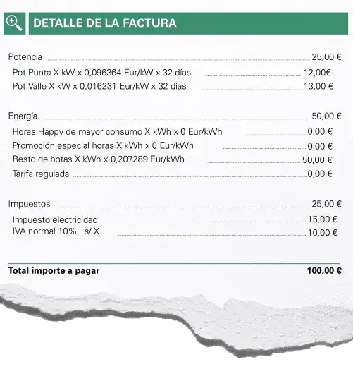 electricity bill detail